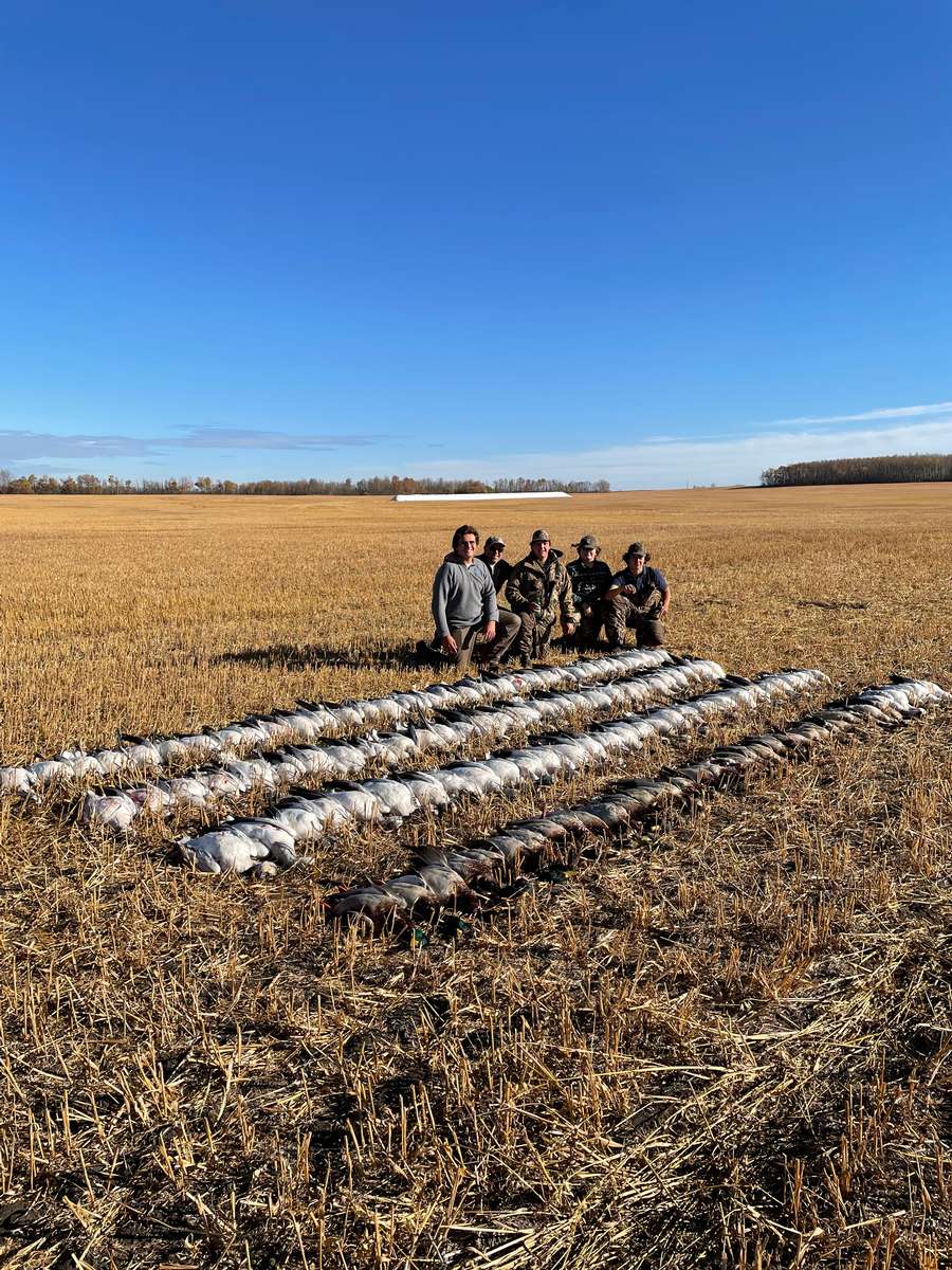 Frequently Asked Questions About Waterfowl Hunting In Alberta